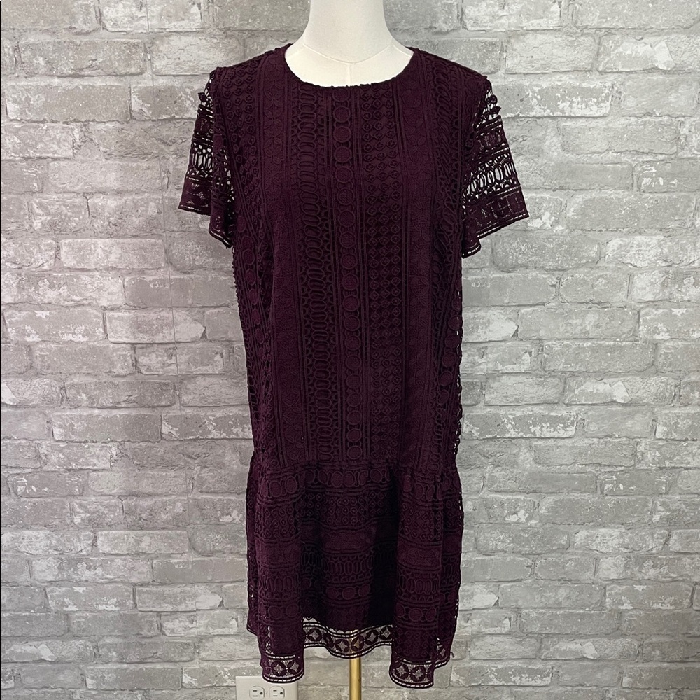 LOFT Deep Purple Drop Waist Lace Mini Dress